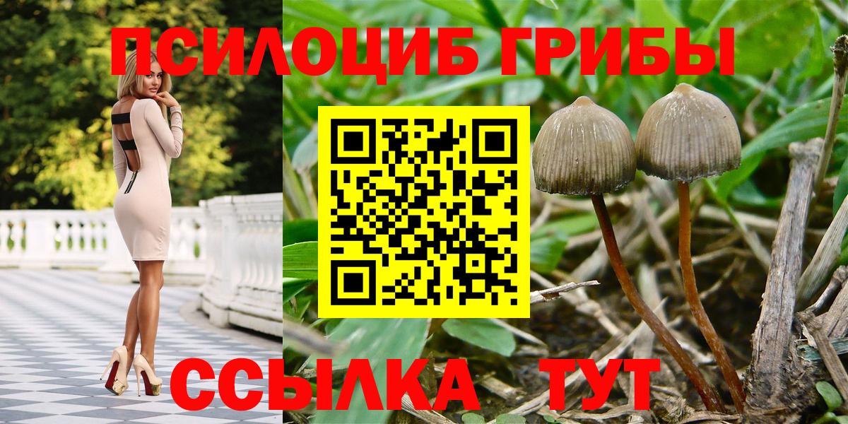 Псилоцибиновые грибы MAGIC MUSHROOMS  Вход с VPN  Сафоново 