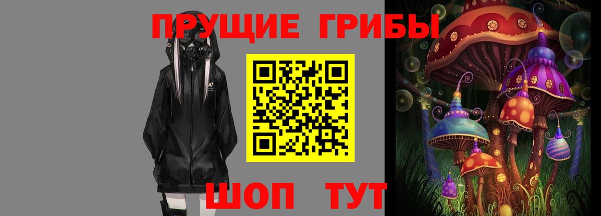 Галлюциногенные грибы GOLDEN TEACHER Сафоново